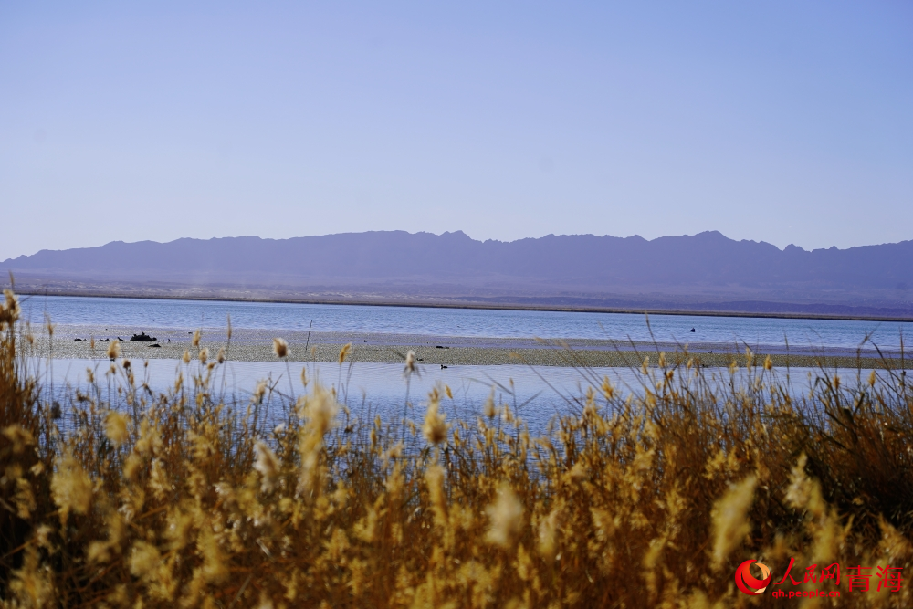 可魯克湖秋色如畫。人民網(wǎng) 陳明菊攝