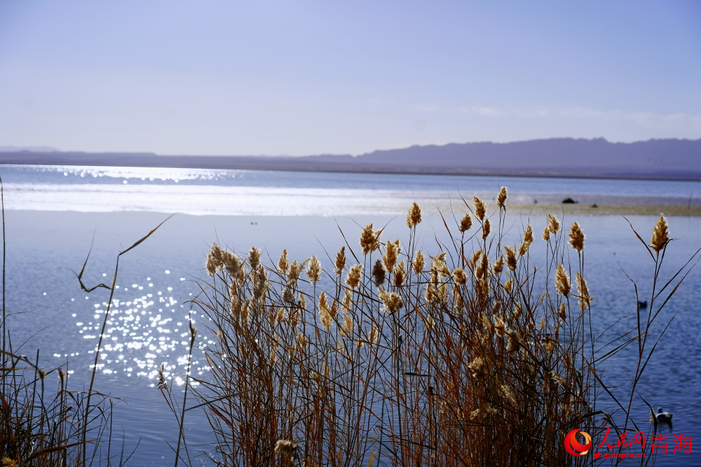可魯克湖秋色如畫。人民網(wǎng) 陳明菊攝