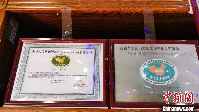 圖為2015年，隆子黑青稞成為中國國家地理標(biāo)志保護(hù)產(chǎn)品?！垈?攝