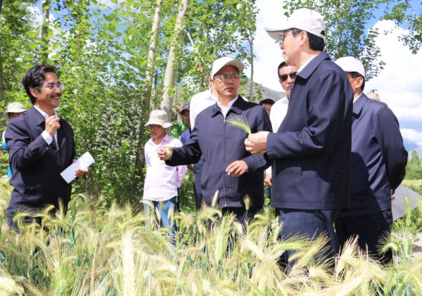 全國表彰大會(huì)上，為什么只有他沒到？