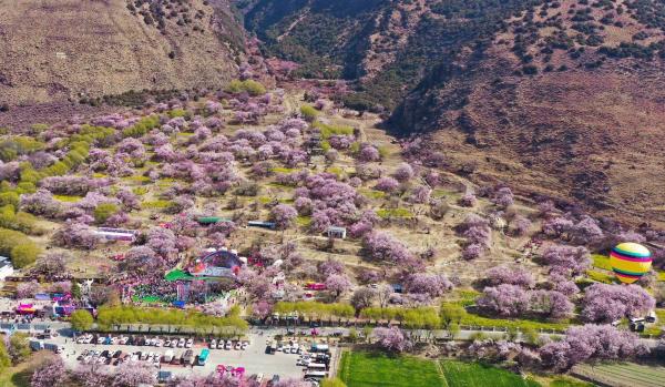 世外桃源！一組圖告訴你，西藏林芝桃花能有多美