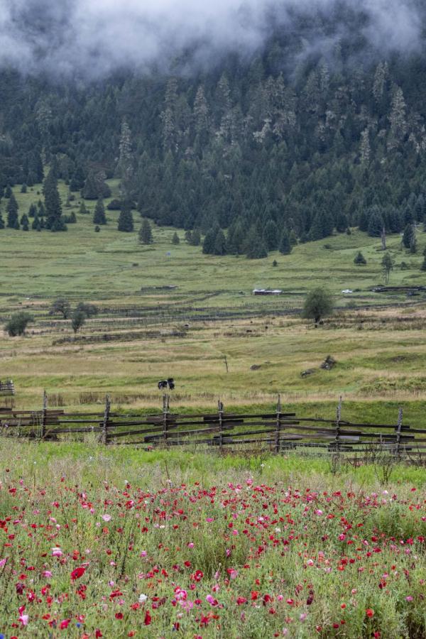 跟我，踏上最美“景觀大道”