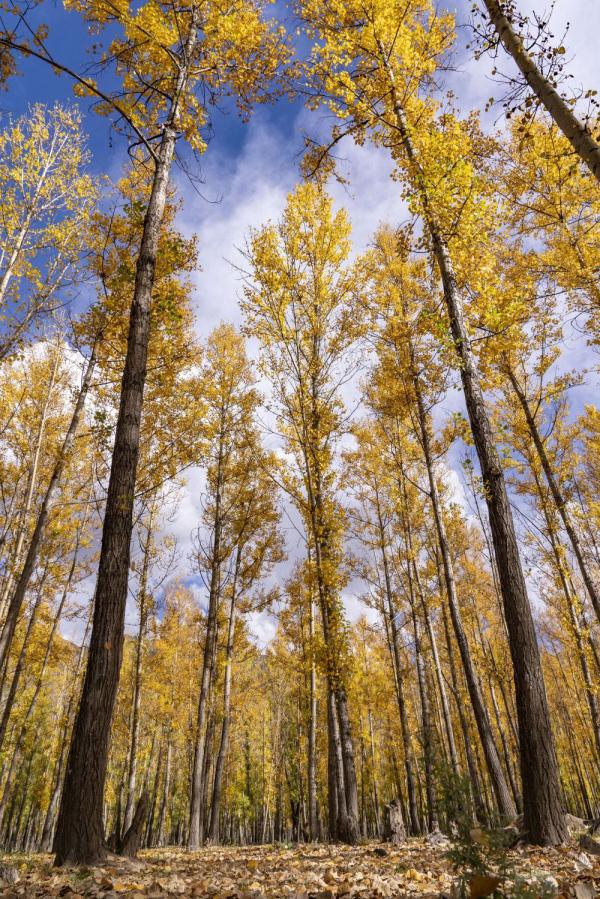 跟我，踏上最美“景觀大道”