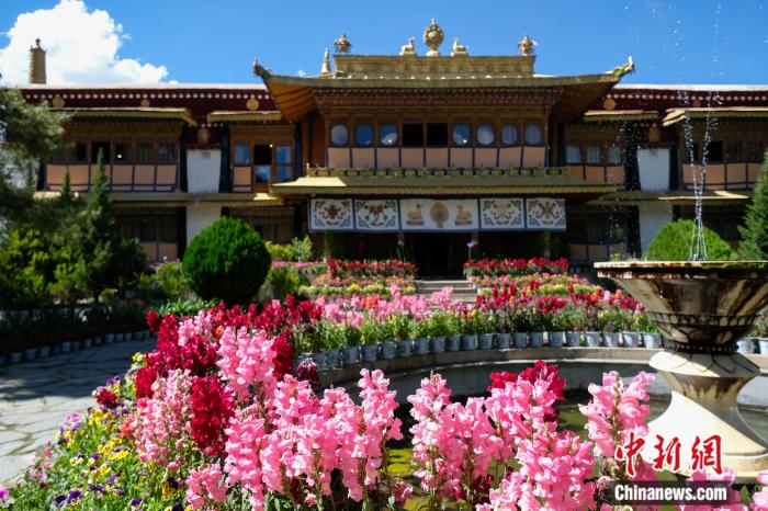 圖為夏日羅布林卡(資料圖)。趙朗攝