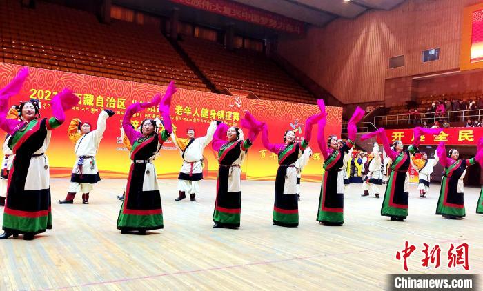 圖為西藏老年舞蹈隊(duì)齊跳傳統(tǒng)鍋莊舞?！∝暽＠?攝