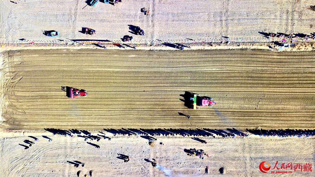 山南市扎囊縣扎其鄉(xiāng)孟卡榮村迎來(lái)春耕第一犁。人民網(wǎng) 次仁羅布攝