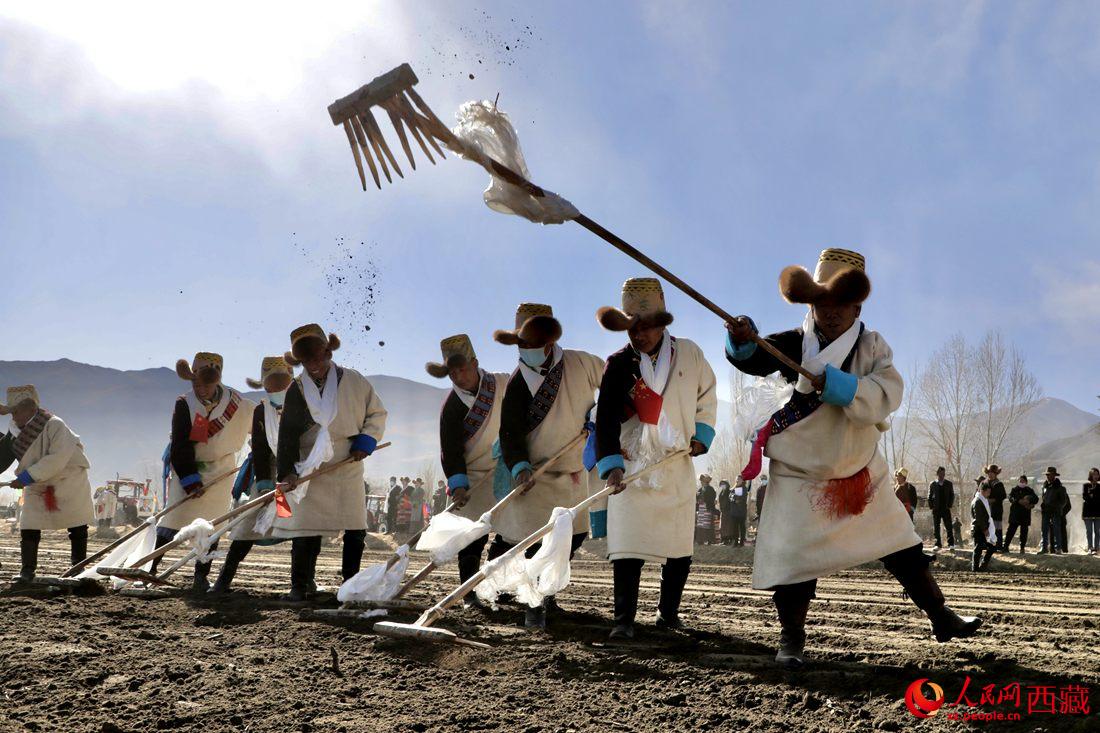 當?shù)卮迕裆碇?jié)日盛裝，舉行春耕儀式。人民網(wǎng) 次仁羅布攝