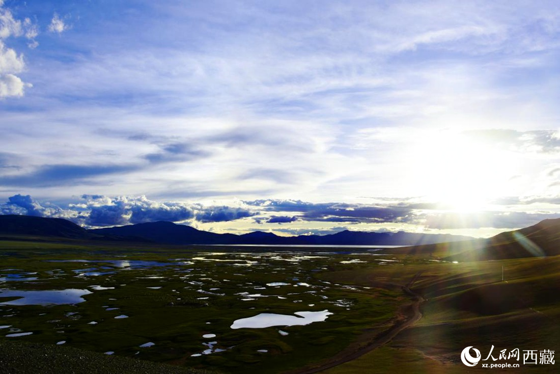 七月的羌塘草原處處是景。人民網(wǎng) 李海霞攝