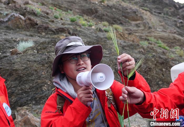 青藏科考：青稞如何走上青藏高原？
