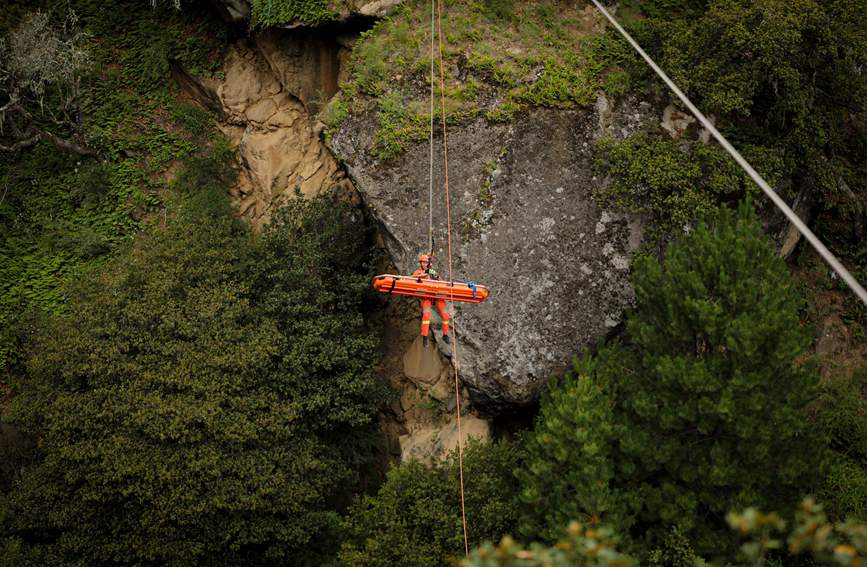 叢林中的橙色身影。西繞拉翁攝