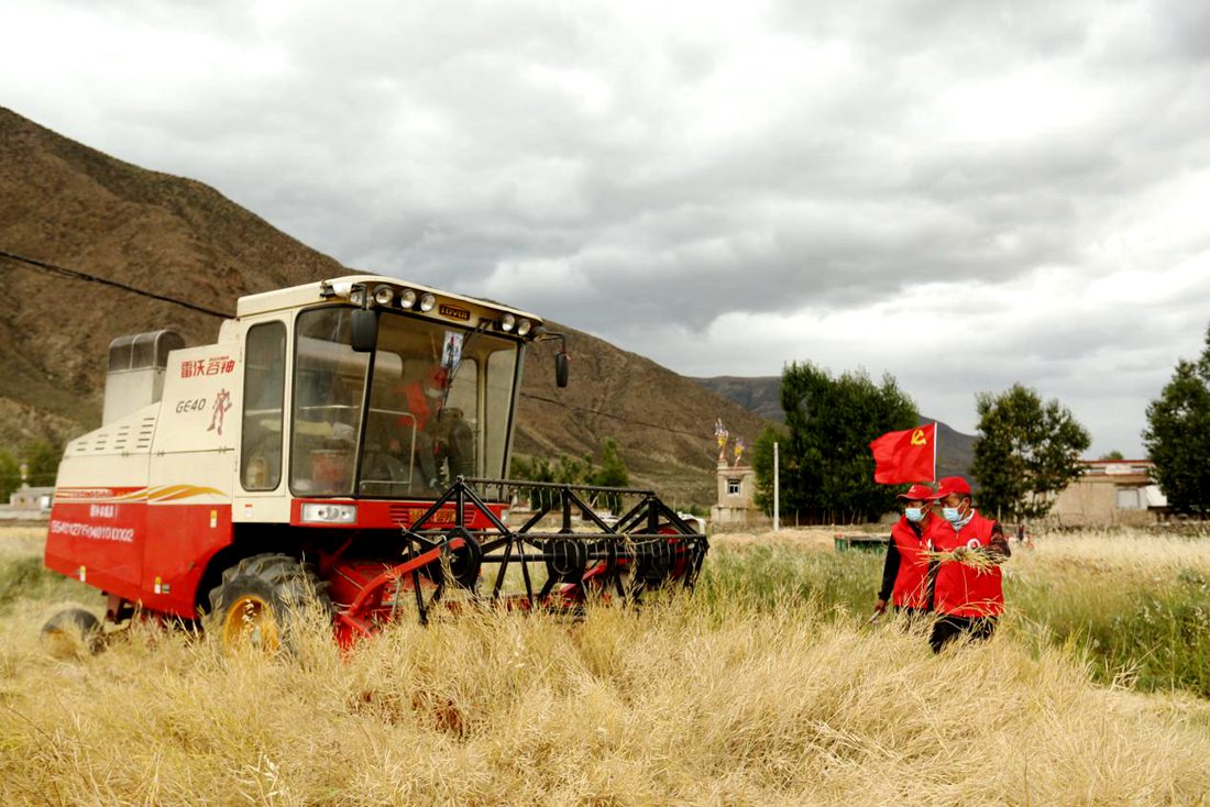 陣陣機(jī)械的轟鳴聲傳來豐收的喜悅。洛克攝