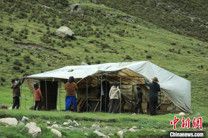 圖為牧民們在秋季牧場搭建帳篷?！÷蹇?攝