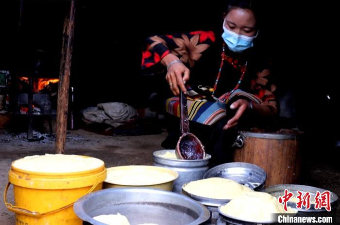 圖為牧民正在制作酥油?！∪湛t文聯(lián)供圖