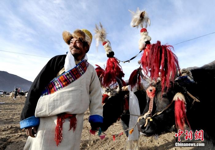 資料圖為2013年3月16日，拉薩市堆龍德慶區(qū)德慶村的農(nóng)民牽著牦牛參加春耕儀式，按照傳統(tǒng)方式由牦牛開第一犁。 <a target='_blank' href='/'><p  align=