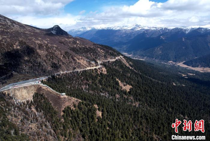 2月17日，西藏林芝魯朗林海。(無(wú)人機(jī)照片) 李林 攝