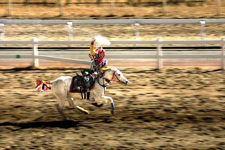 藏歷新年，精彩的馬術(shù)表演。張靜攝