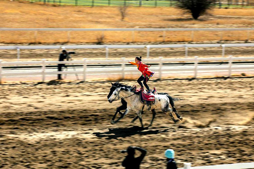 藏歷新年，精彩的馬術(shù)表演。張靜攝