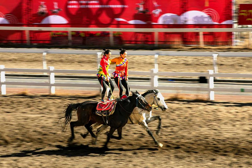藏歷新年，精彩的馬術(shù)表演。張靜攝
