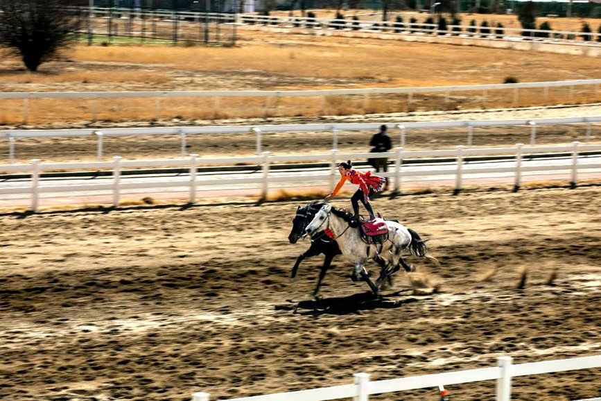 藏歷新年，精彩的馬術(shù)表演。張靜攝