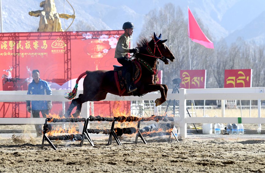 藏歷新年，精彩的馬術(shù)表演。潘多攝