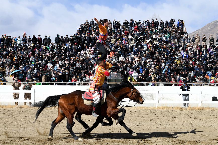 藏歷新年，精彩的馬術(shù)表演。潘多攝