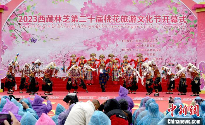 3月28日，西藏林芝第二十屆桃花旅游文化節(jié)開幕式上的文藝表演?！±盍?攝