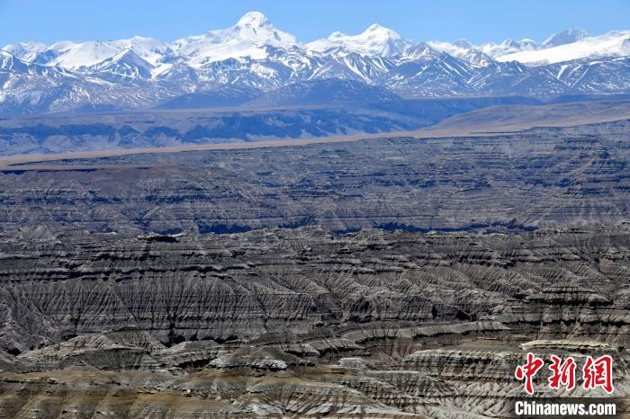 4月5日，西藏阿里札達土林?！±盍?攝