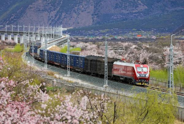 人間桃花源！林芝桃花有多絕？