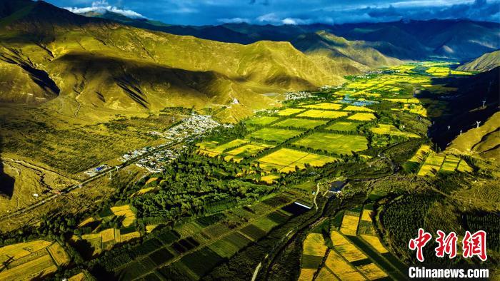 圖為山南雍布拉康附近農(nóng)田。　張巍 攝