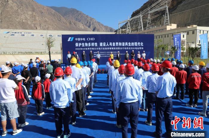 圖為蘇洼龍水電站魚類放流現場?！√K洼龍水電站供圖