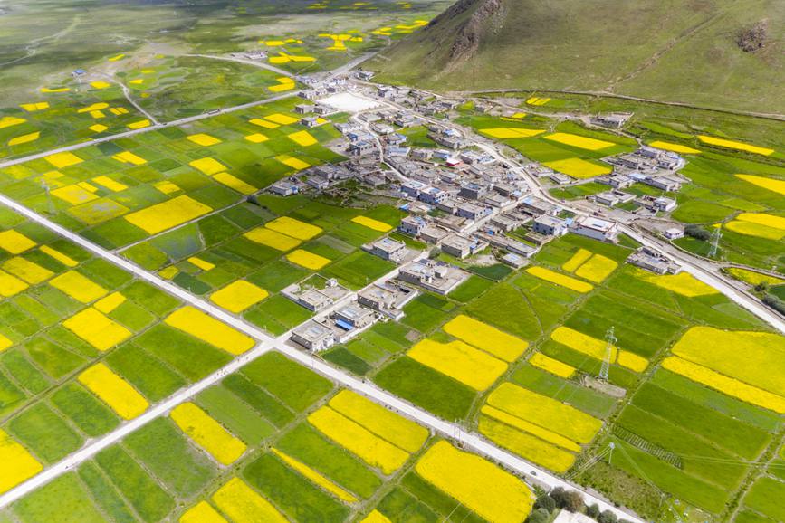 航拍道布龍村，依山傍水，阡陌縱橫。