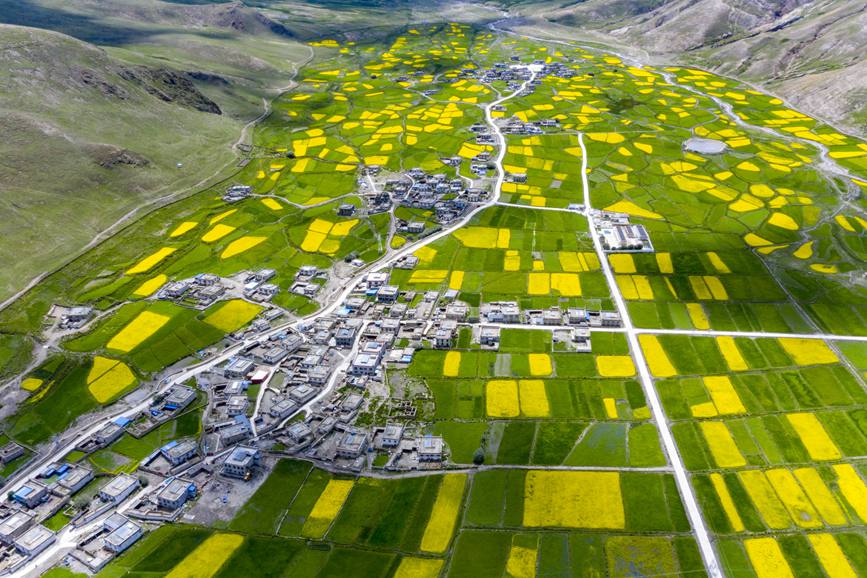 航拍道布龍村，依山傍水，阡陌縱橫。