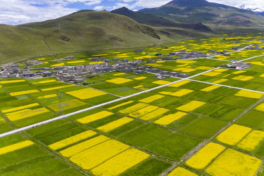 航拍道布龍村，依山傍水，阡陌縱橫。
