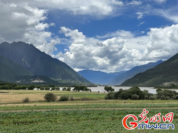 我們的家園｜林芝米林縣：河長護藥洲，碧水映花谷