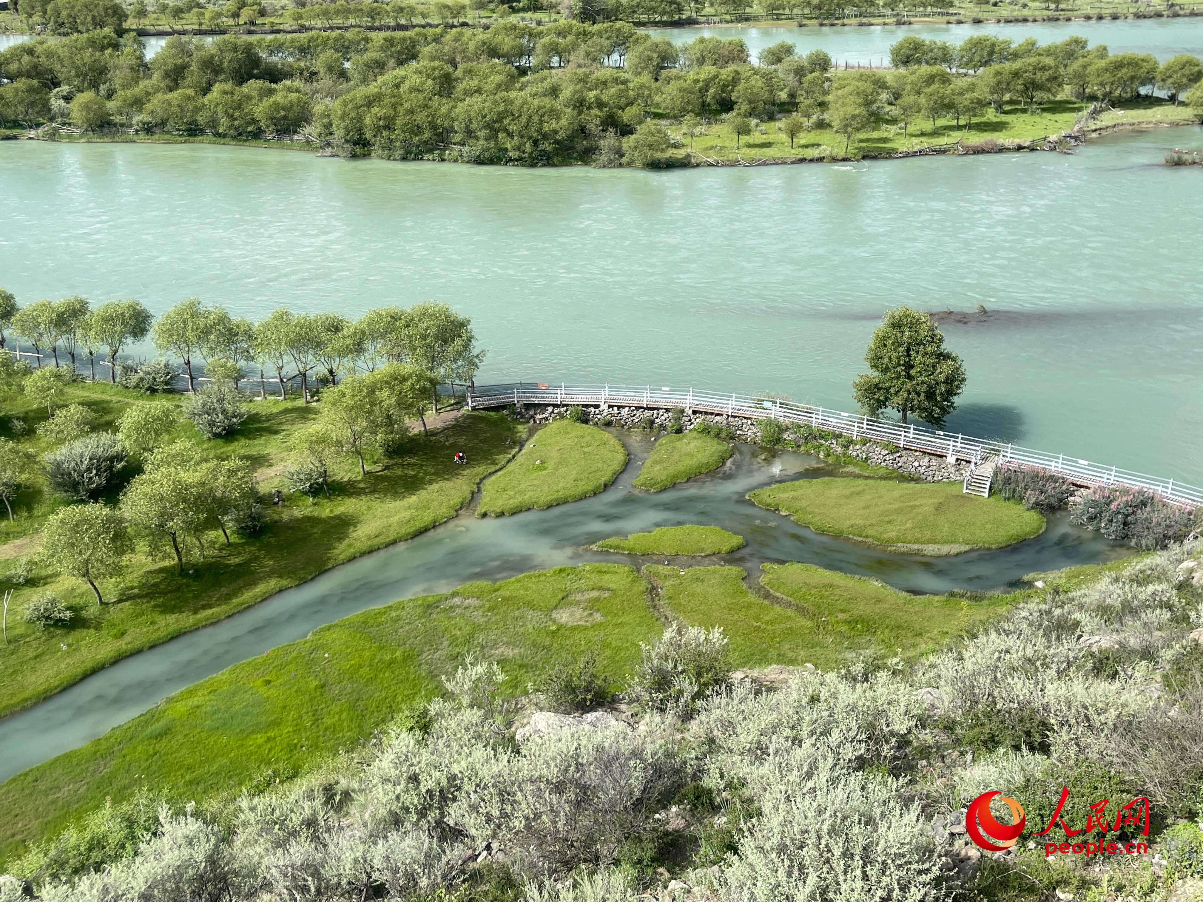 夏日的雅尼國(guó)家濕地公園生機(jī)盎然，如詩(shī)如畫。人民網(wǎng) 周靜圓攝