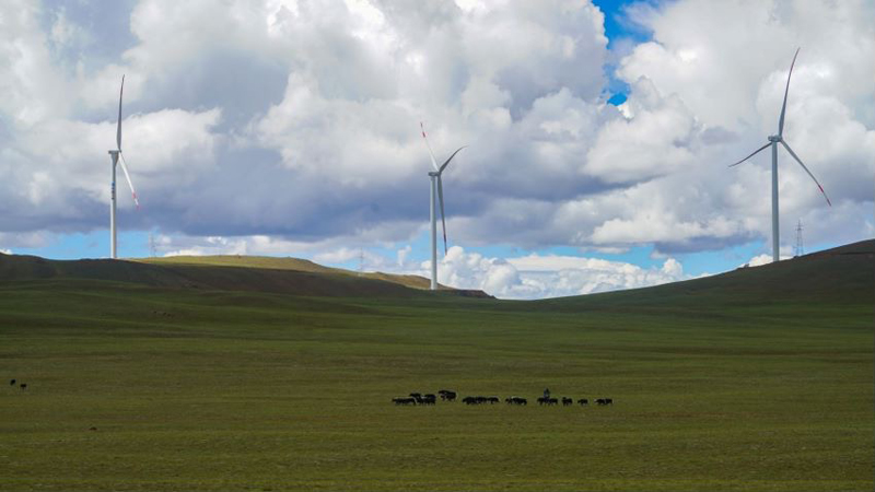 西藏措美哲古風(fēng)電場首批3.6兆瓦風(fēng)電機組并網(wǎng)發(fā)電。受訪者供圖