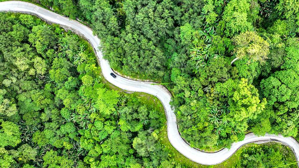 穿行于綠色間，生態(tài)優(yōu)良。張澤坤攝