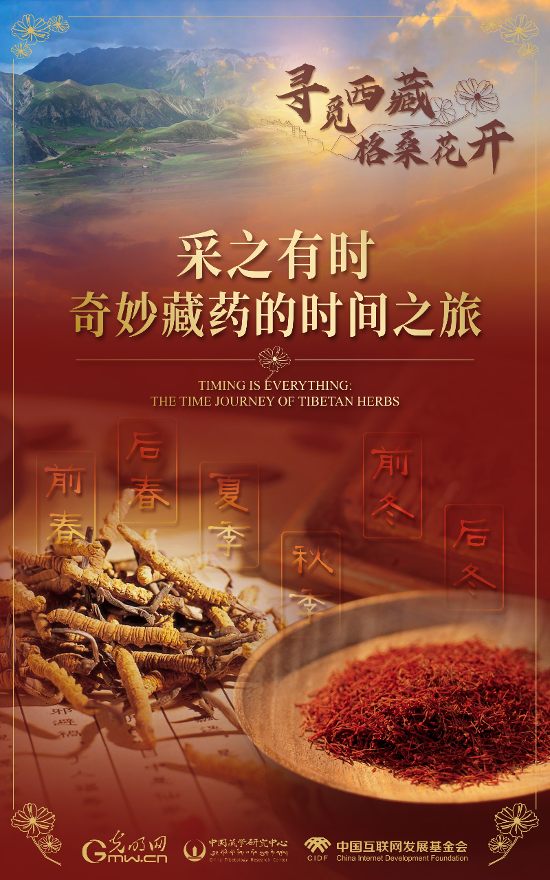 【尋覓西藏·格?;ㄩ_】采之有時:奇妙藏藥的時間之旅