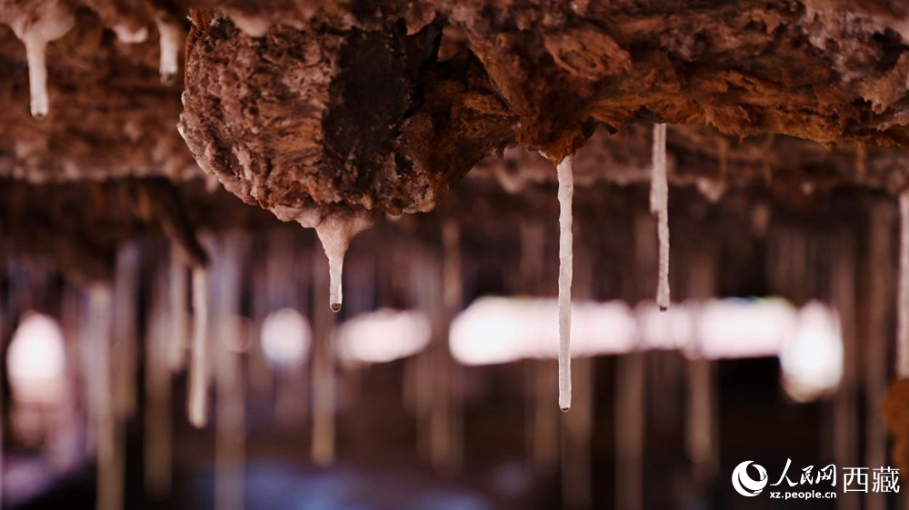自然滲下的鹽柱結(jié)晶。人民網(wǎng)記者 次仁羅布攝