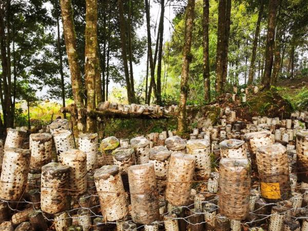 幾代建設(shè)者，歷經(jīng)半個(gè)多世紀(jì)完成！這是一條怎樣的公路？