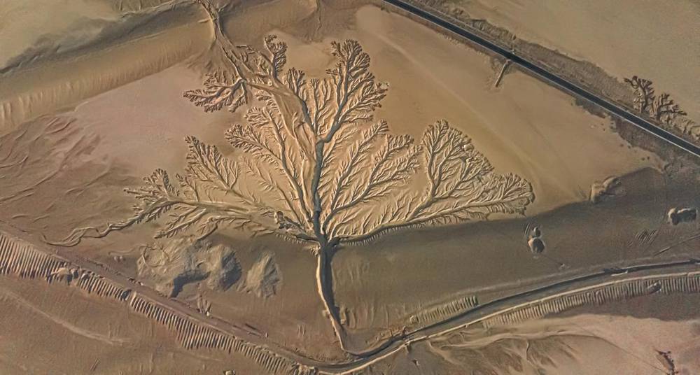 壯觀的“大地之樹(shù)”。邊巴多吉攝