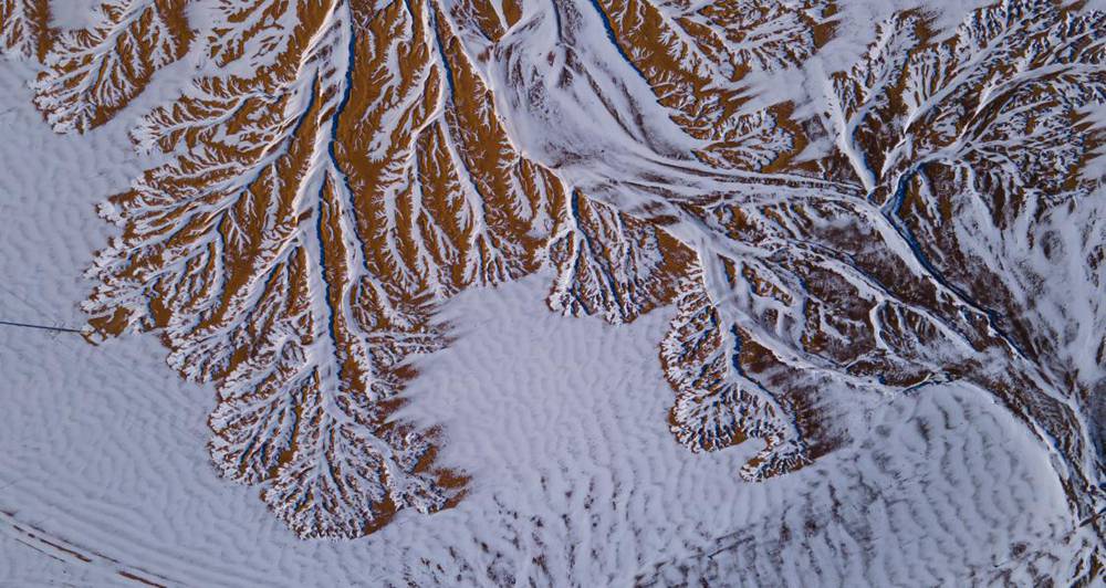 栩栩如生的枝干。邊巴多吉攝