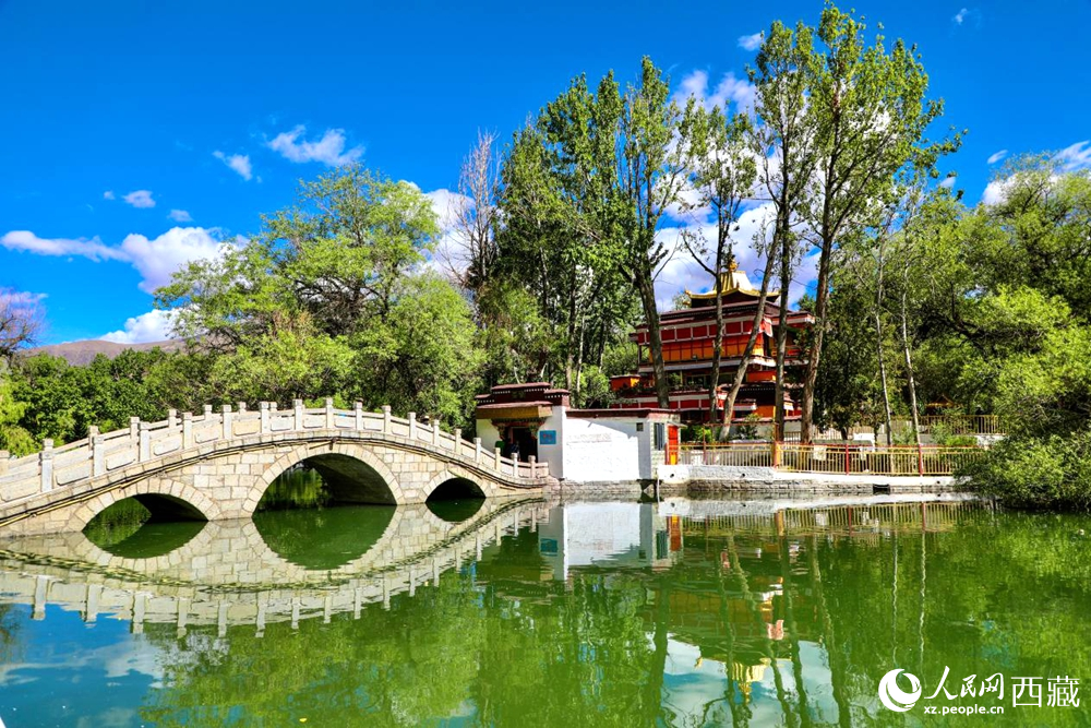 公園內綠意盎然。