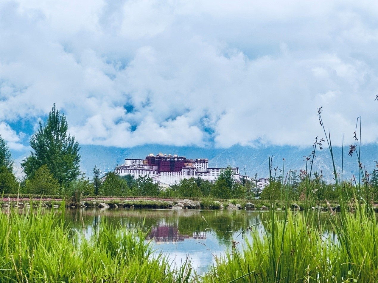 在南山公園遠(yuǎn)眺布達(dá)拉宮。人民網(wǎng)記者 益西康珠攝