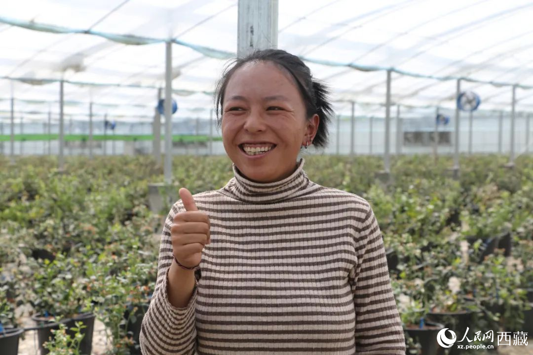 措姆品嘗自己精心照料的藍莓后，豎起了大拇指。次仁龍布攝