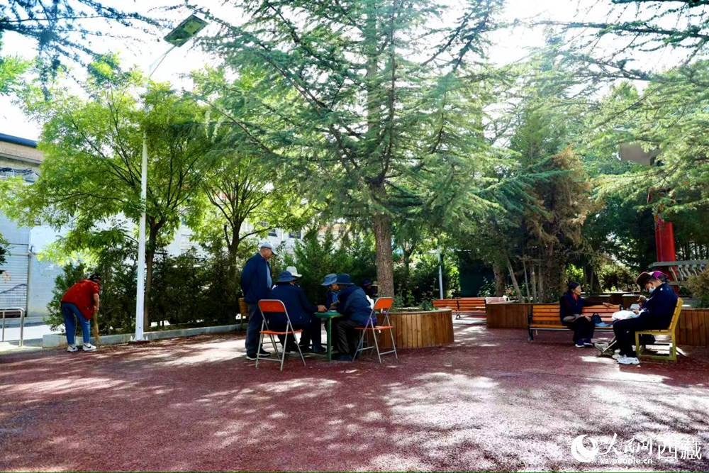 老人們?cè)诰G樹成蔭的“社區(qū)會(huì)客廳”中對(duì)弈休憩。人民網(wǎng)記者 次仁羅布攝