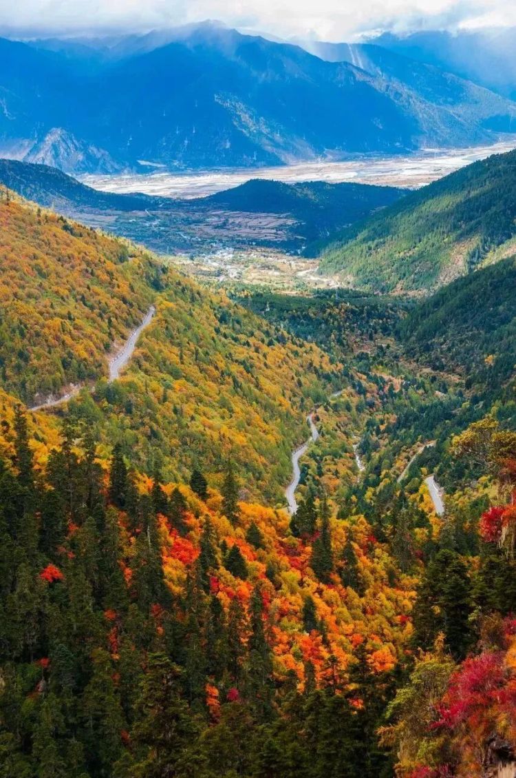 懂西藏的人，一定不會(huì)錯(cuò)過林芝的秋天