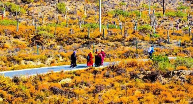 懂西藏的人，一定不會(huì)錯(cuò)過林芝的秋天