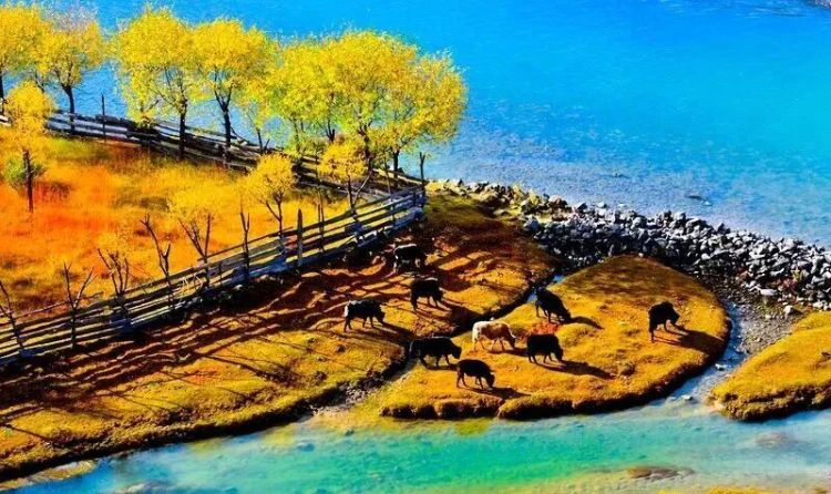 懂西藏的人，一定不會(huì)錯(cuò)過林芝的秋天