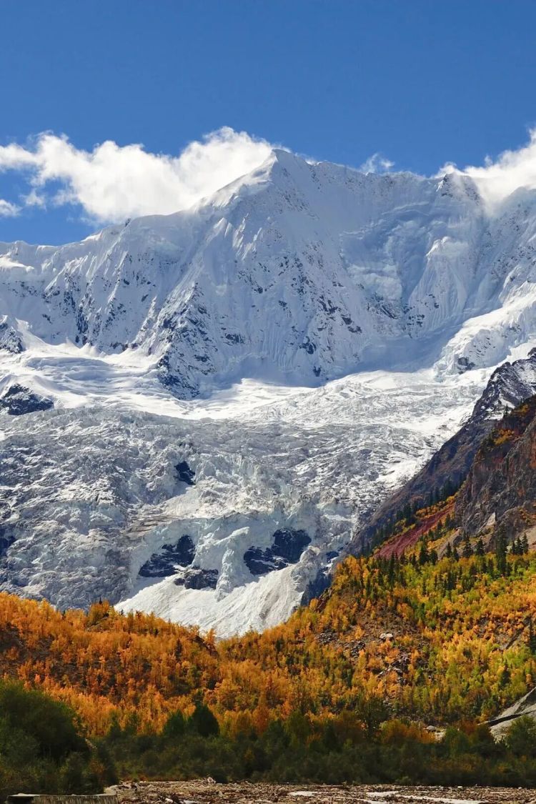 懂西藏的人，一定不會(huì)錯(cuò)過林芝的秋天